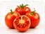 Organic Tomato