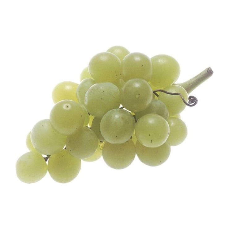 Grapes